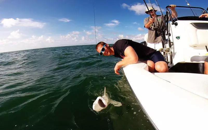 Edisto Island Fishing