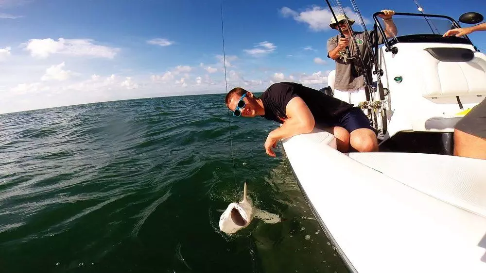 Edisto Island Fishing