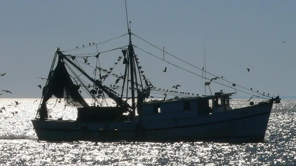 Shrimp trawler working off the Edisto coast with gulls following the boat