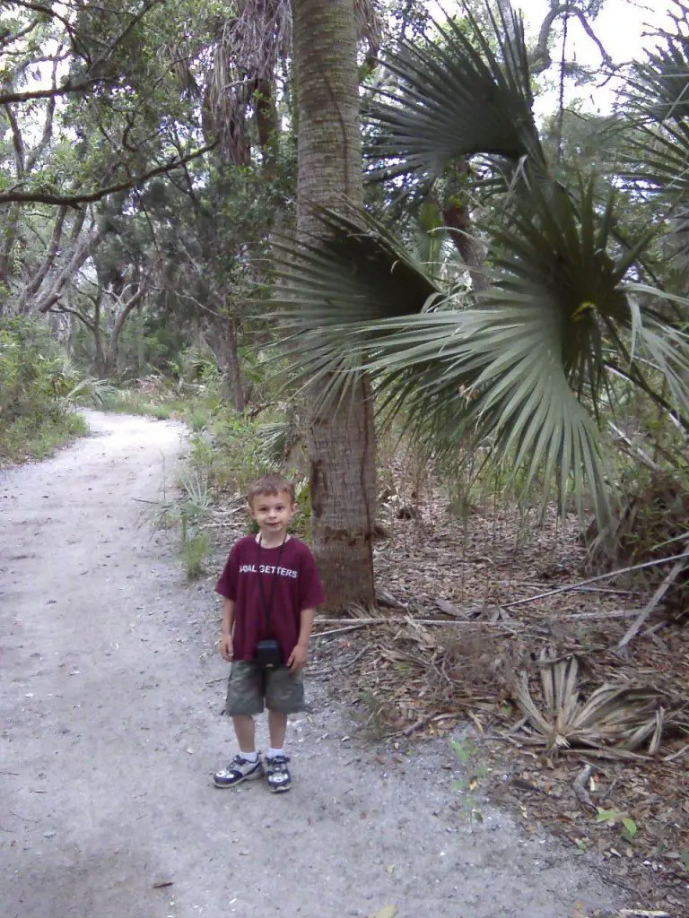 Child walking a sandy trail through palmettos in Edisto Beach State Park