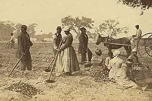 gullah culture