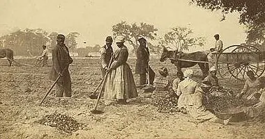 gullah culture