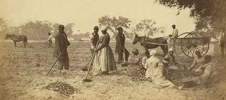 gullah culture