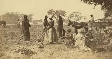 Gullah Language