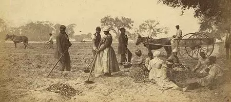 Gullah Language