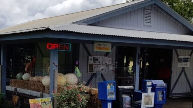 King’s Farm Market roadside farm market on SC-174, Edisto Island